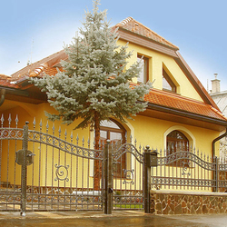 Schmiedeeiserner Zaun mit Wickelmuster – außergewöhnliches Tor und Zaun an einem Einfamilienhaus