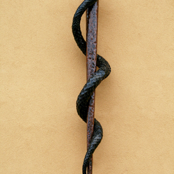 Handgeschmiedete Schlange an einem Stab als Symbol der Medizin