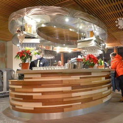 Edelstahl-Bar – Moderne Theke aus Edelstahl im Bergrestaurant