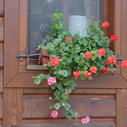 Blumenkastenhalterung für Fensterbank im Vintage-Stil an der Hütte